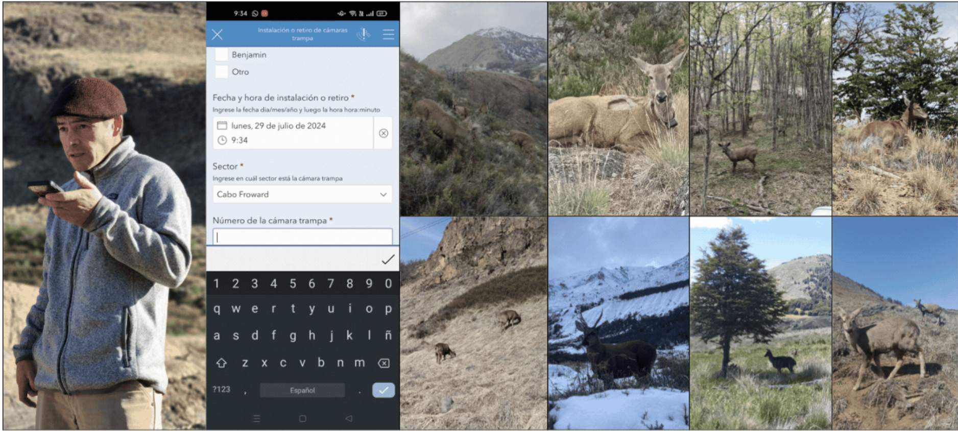 Collage of a person using a smartphone, an app interface, and wildlife scenes including deer and mountains.